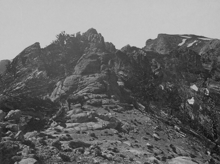 Picture of SUMMIT-HUMBOLDT MOUNTAINS-NEVADA