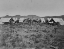 Picture of SURVEY CAMP-SALT LAKE CITY-UTAH