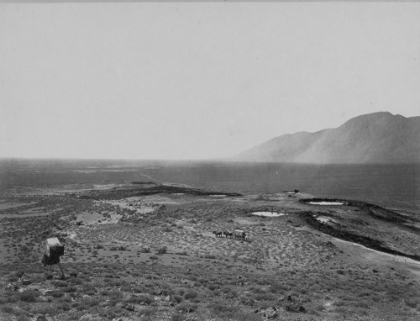 Picture of SOU SPRINGS-PAH UTE RANGE-NEVADA