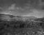 Picture of DISTANT VIEW OF CAMP APACHE-ARIZONA