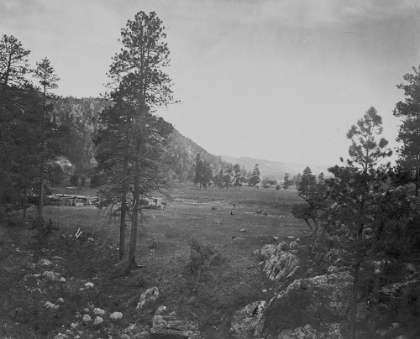 Picture of COOLEYS PARK-SIERRA BLANCA RANGE-ARIZONA