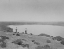 Picture of ALKALI LAKE-CARSON DESERT-NEVADA