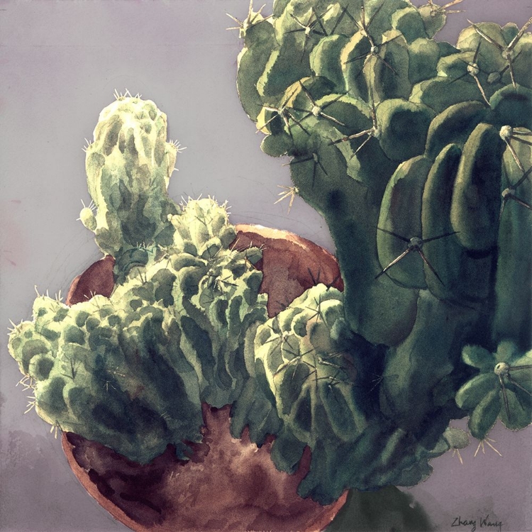 Picture of CACTUS