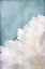 Picture of PEONY SKY I