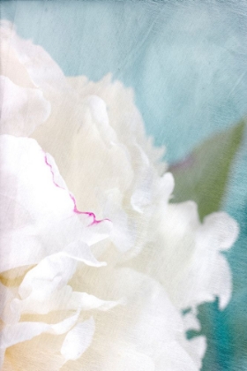 Picture of PEONY SKY II