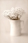 Picture of JUG OF DAISIES
