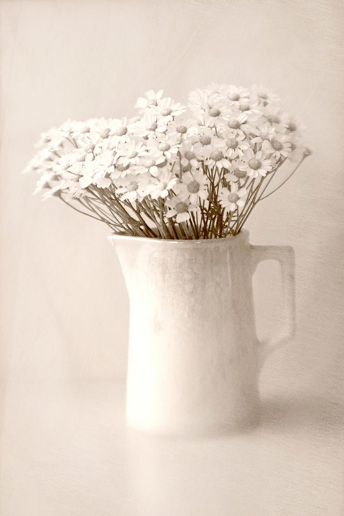 Picture of JUG OF DAISIES
