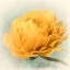 Picture of GOLDEN