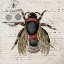 Picture of HISTORY BEE I