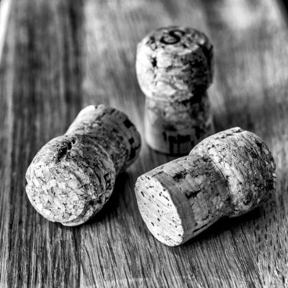 Picture of CORKS IV