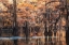 Picture of BAYOU KAYAKER
