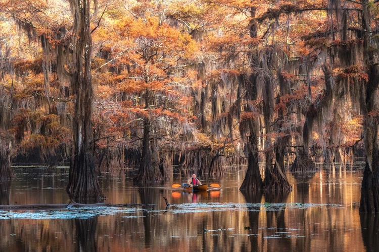 Picture of BAYOU KAYAKER