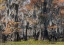 Picture of BAYOU FLOWERS