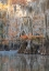 Picture of BAYOU BLUES