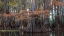 Picture of ON THE BAYOU II