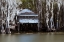 Picture of THE TEA HOUSE