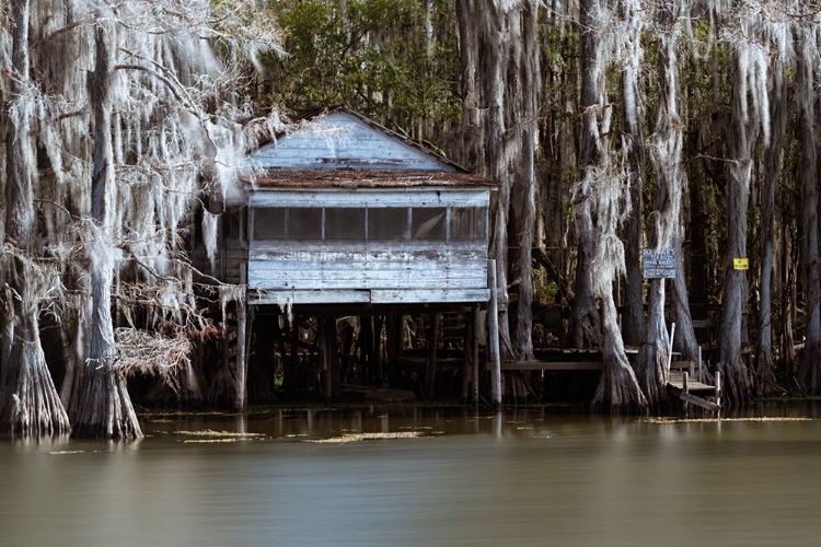 Picture of THE TEA HOUSE