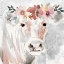 Picture of DARLING MISS BESSIE