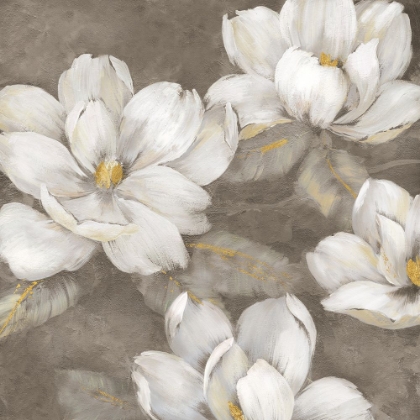 Picture of MAGNOLIA TWILIGHT