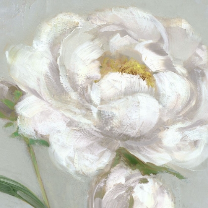 Picture of PEONY DETAIL I