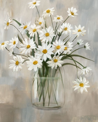 Picture of DAISY CLUSTER