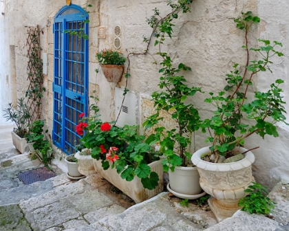 Picture of FRONT DOOR OASIS