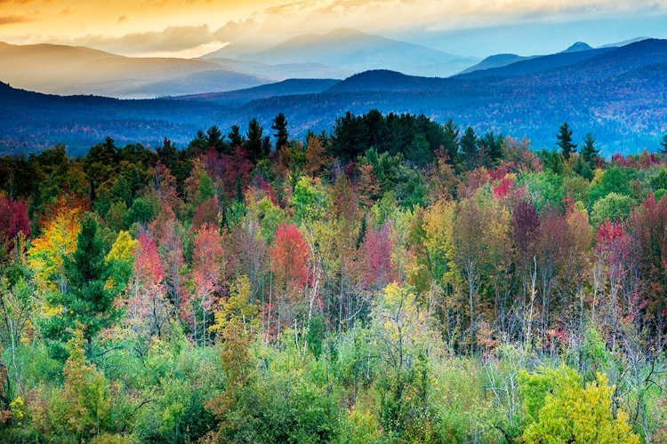 Picture of NATURES KALEIDOSCOPE