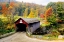 Picture of VERMONT COVERED BRIDGE