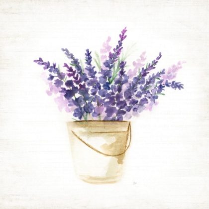 Picture of BUCKET OF LAVENDER I