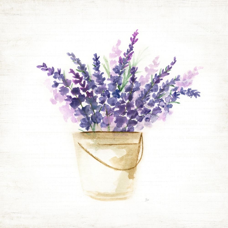 Picture of BUCKET OF LAVENDER I