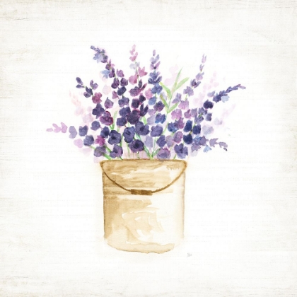 Picture of BUCKET OF LAVENDER II