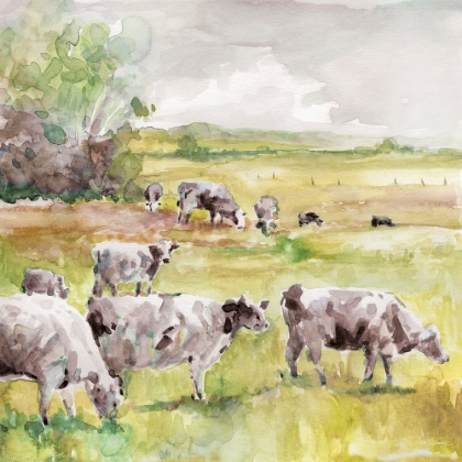 Picture of SPRING HERD
