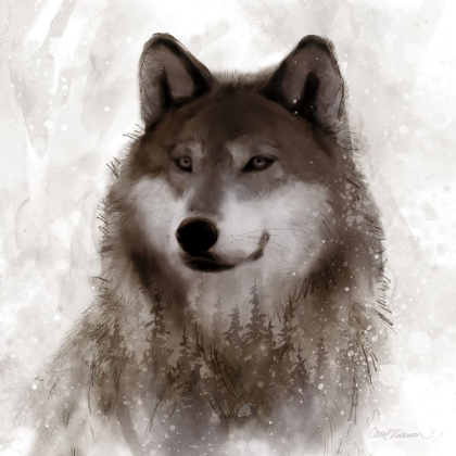 Picture of FOREST WOLF