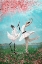Picture of DANCE LIKE NO OTHER