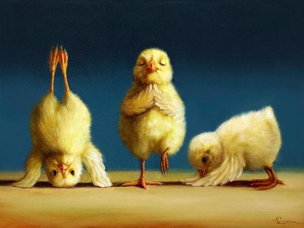Picture of YOGA CHICKS