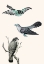 Picture of BIRDS 1