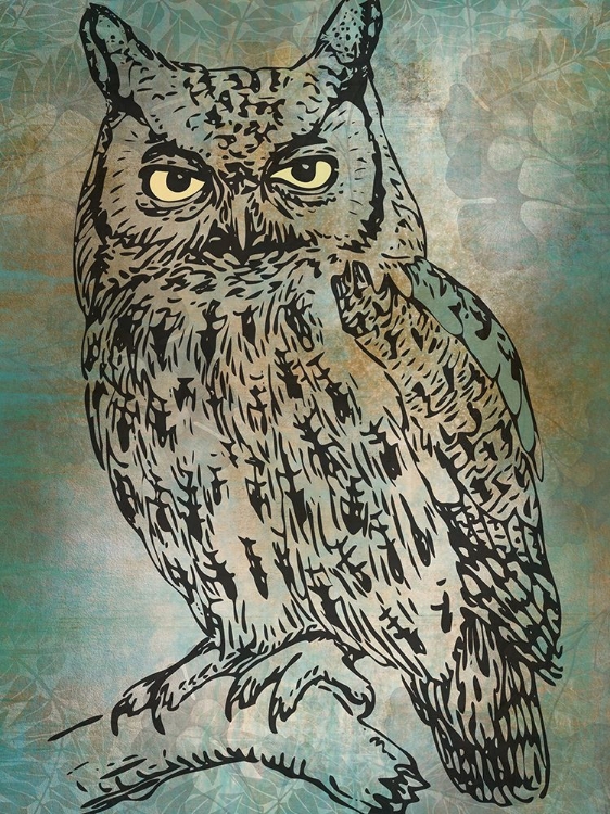 Picture of MR. OWL