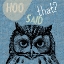 Picture of OWL
