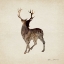 Picture of FOREST DEER