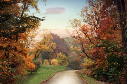 Picture of COUNTRY ROAD