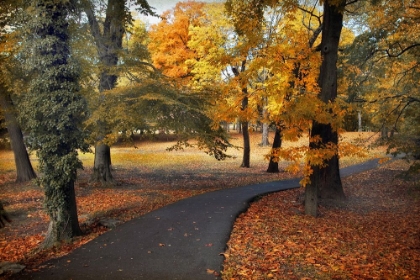 Picture of ENTRANCE TO AUTUMN