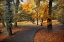 Picture of ENTRANCE TO AUTUMN
