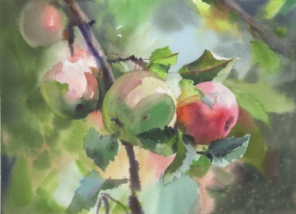 Picture of APPLES ON A BRANCH