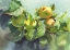 Picture of APPLES ON A BRANCH