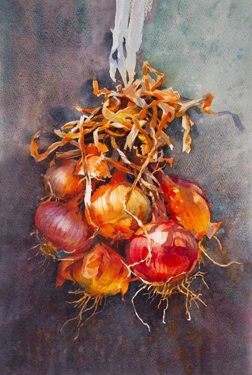 Picture of STILL LIFE ONION