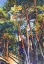 Picture of PINE FOREST