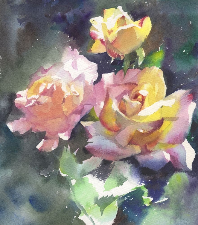 Picture of ROSES