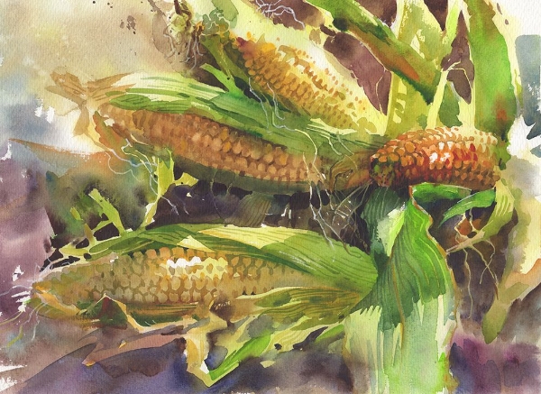 Picture of CORN