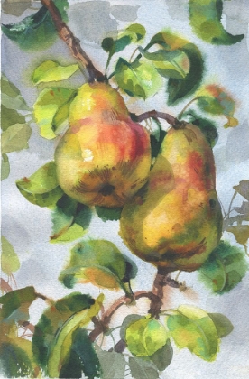 Picture of PEARS ON A BRANCH