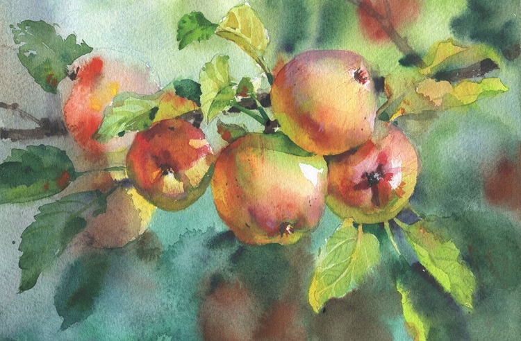 Picture of APPLES ON A BRANCH